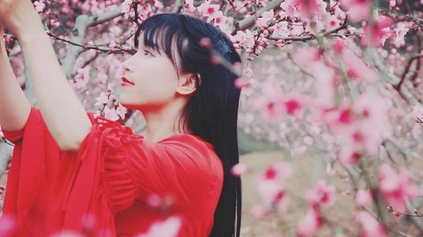 【觀點】央視點名表揚的“李子柒”個人IP背后的“爆紅”邏輯
