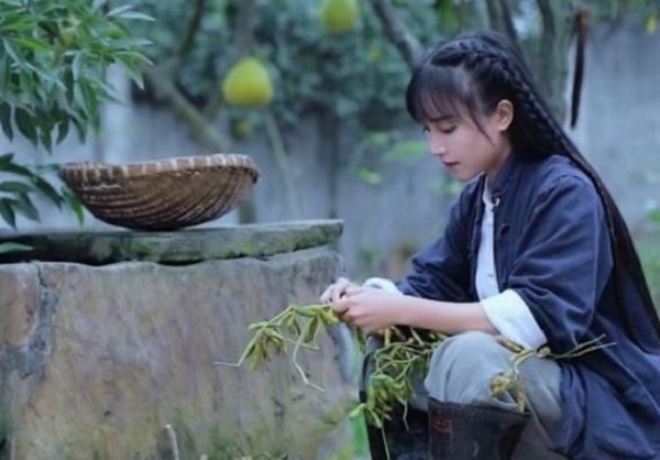 【觀點】央視點名表揚的“李子柒”個人IP背后的“爆紅”邏輯