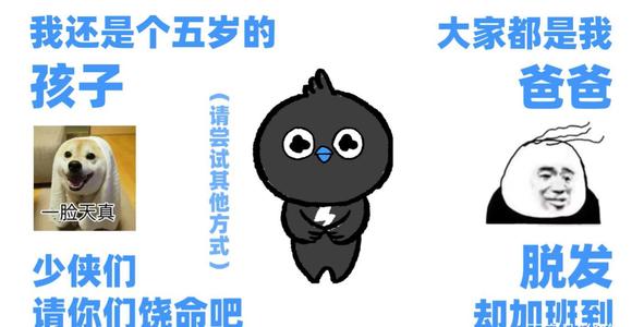 老鄉雞、五菱、丁真……2020刷屏營銷案例，你pick哪一個？