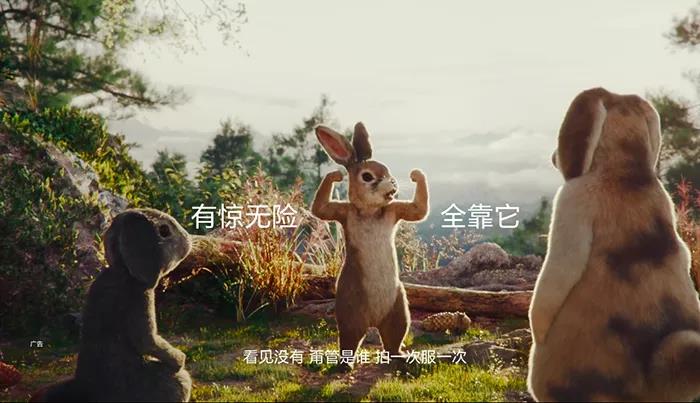 老鄉雞、五菱、丁真……2020刷屏營銷案例，你pick哪一個？