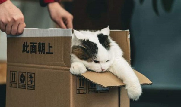 百億盲盒的背后，是營銷與管理失控