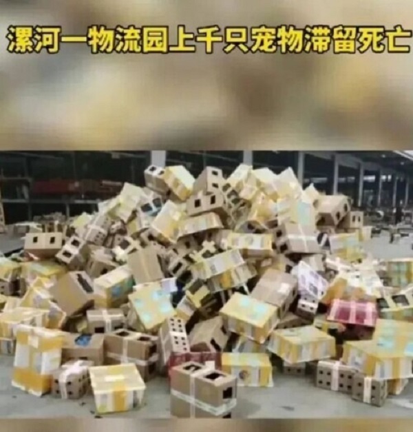 百億盲盒的背后，是營銷與管理失控